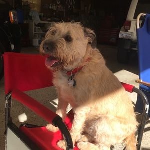 Meet your Posher, Taylor